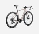Bicicleta Orbea DENNA M30 Nickel Matt - Crbn Raw Gloss