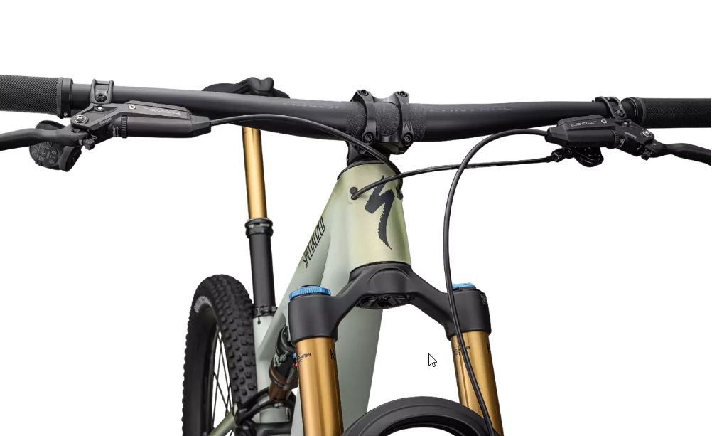Bicicleta Specialized Epic Evo 8 Pro Satin Forest Green/Spruce