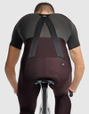 Mille GT Spring Fall Bib Tights S11 Mulberry Brown