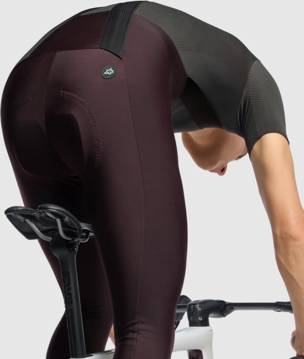 Mille GT Spring Fall Bib Tights S11 Mulberry Brown