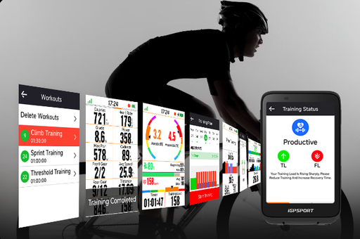 [IGPBINAVI-BG2- NEGRO] CICLOCOMPUTADOR INT CON GPS  BINAVI-BG2- NEGRO
